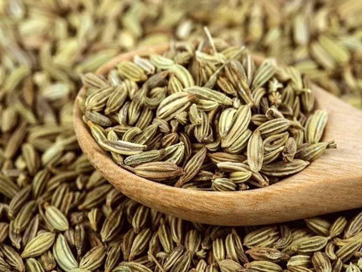Health Tips: कमाल के गुण मौजूद हैं सौंफ में, जान जायेंगे तो रोज करेंगे इसका सेवन