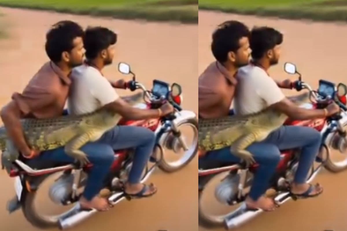 Viral Video: मगरमच्छ को बाइक पर सवारी कराते दिखे युवा, वीडियो देखकर कांप जाएगा दिल