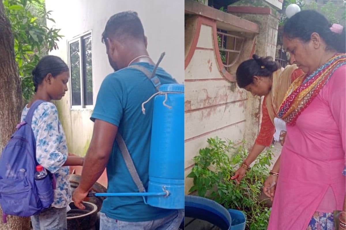 झारखंड का छोटा गोविंदपुर बना डेंगू का हॉट स्पॉट, 18 मरीज पॉजिटिव, दो की मौत, बरतें ये सावधानी