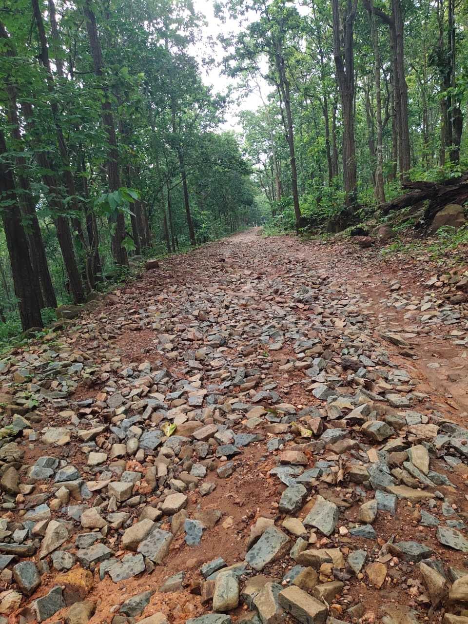 East Singhbhum News : डुमरिया के बादलगोड़ा से लखाइडीह तक सड़क जर्जर, बारिश में बह गयी पिच