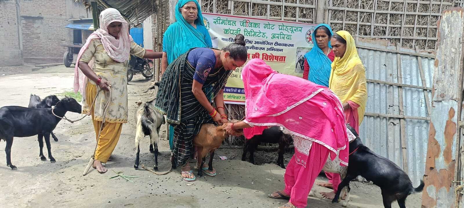 बकरियों को लगाया जा जायेगा टीका