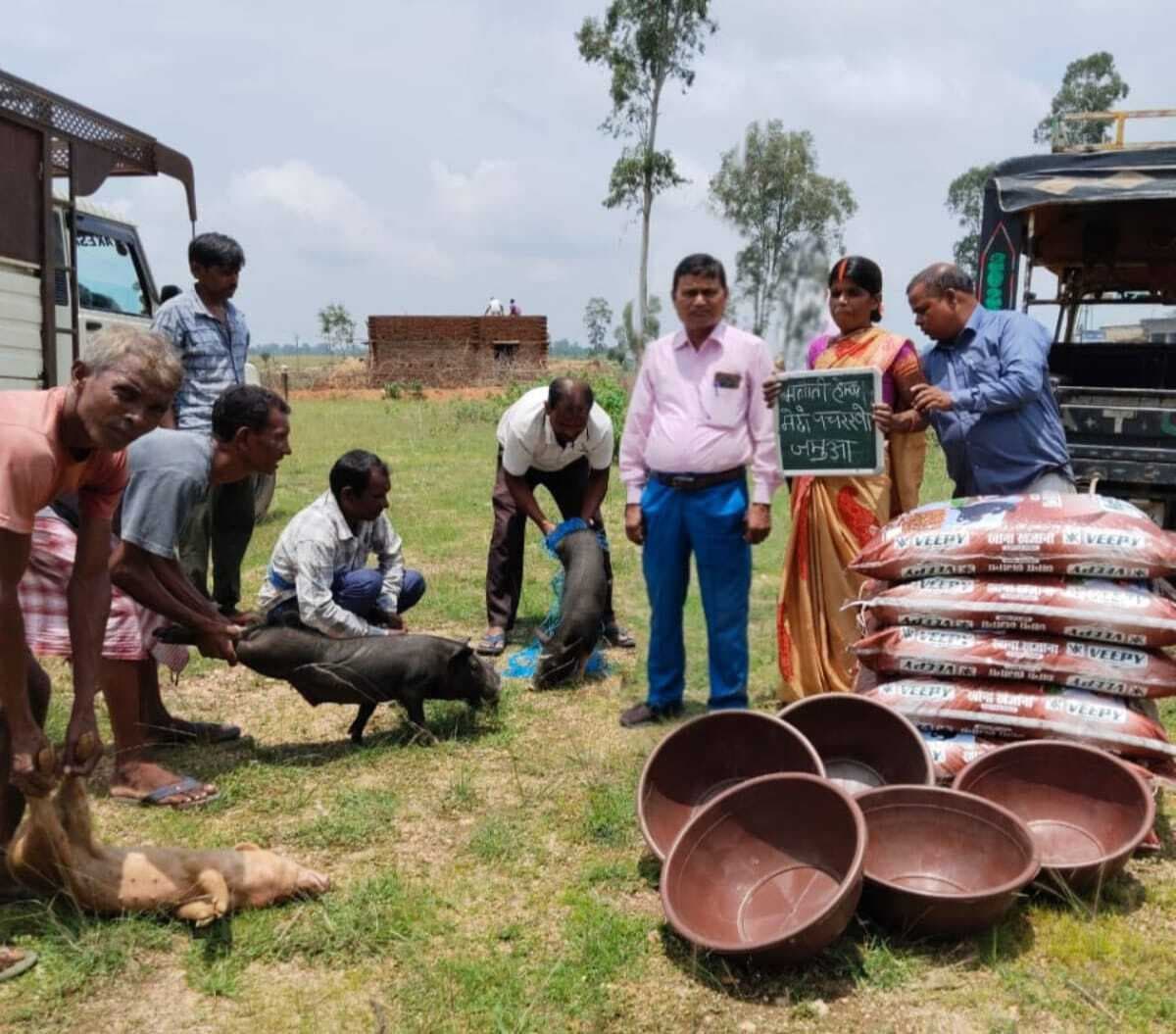 Giridih News: पशुधन योजना के तहत सूकर का वितरण