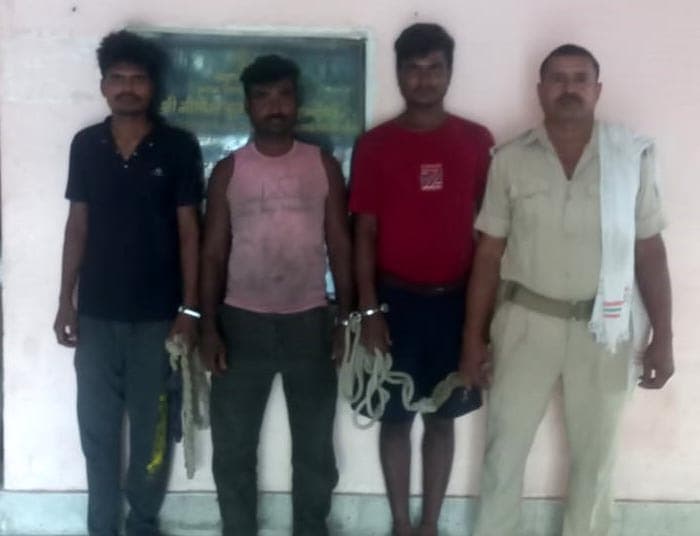 सूर्यगढ़ा बाजार से तीन शराबी गिरफ्तार