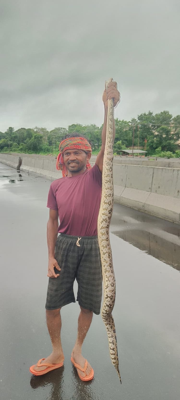 महुआटांड़ में युवक ने अजगर सांप को पकड़ा, तस्वीर वायरल