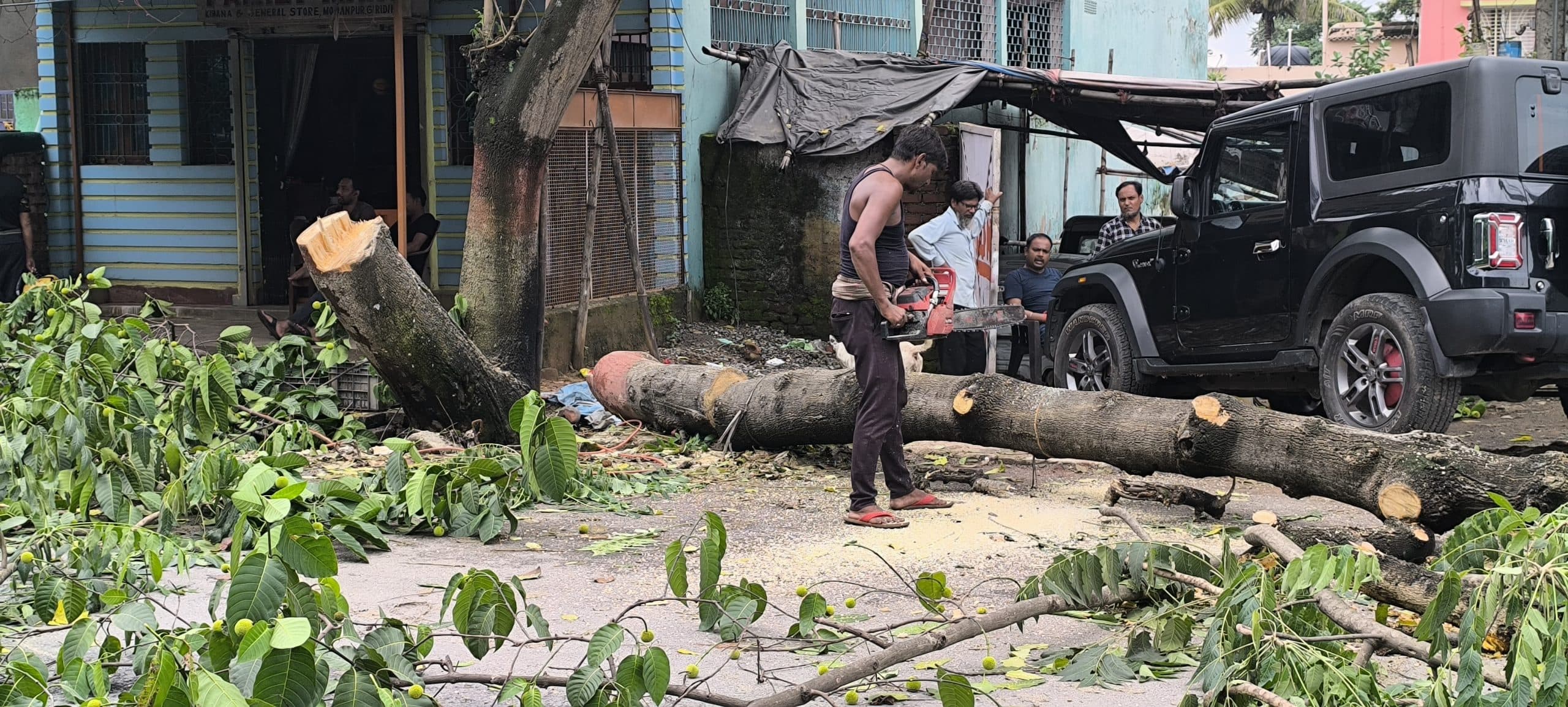 Giridih News :गिरिडीह-पचंबा फोरलेन पर पेड़ की कटाई शुरू