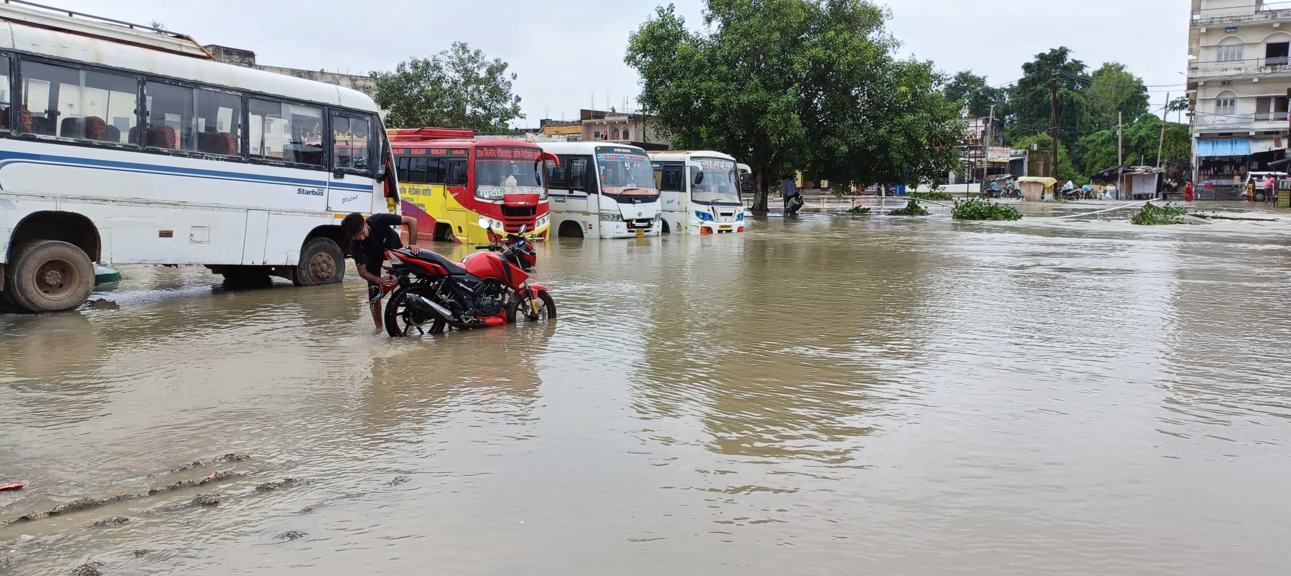 नवीनगर में बढ़ा पुनपुन नदी का जलस्तर, शहर में घुसा पानी