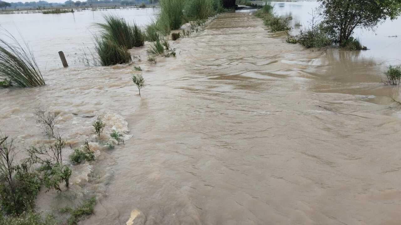गंगा के जल स्तर में हो रहे वृद्धि से बाढ़ का खतरा, ग्रामीण सड़कों पर चढ़ा पानी