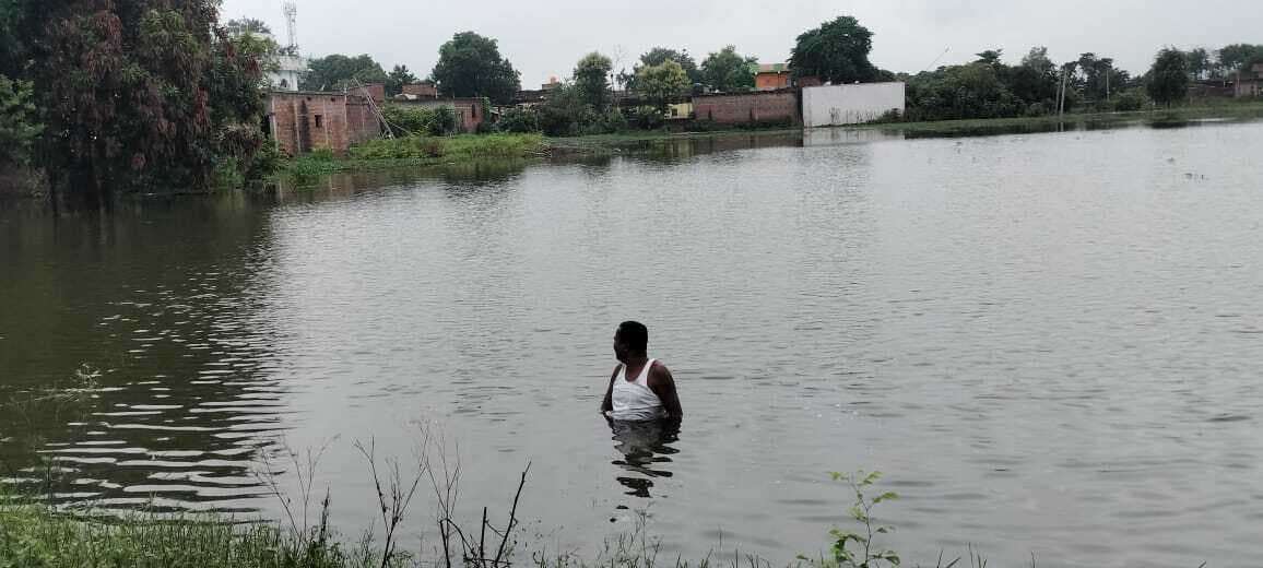 पुसौली के भेलमा में डूब गयीं 50 एकड़ से अधिक धान की फसलें