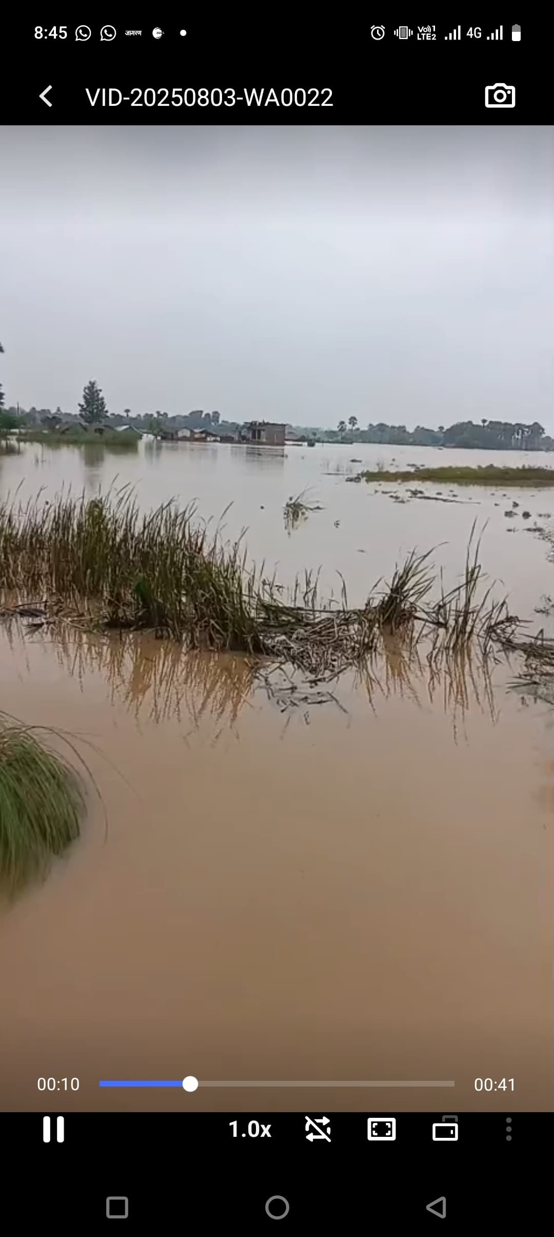 Bhagalpur news आधा दर्जन से अधिक स्थानों पर तटबंध टूटा, दर्जनों गांवों में घुसा पानी