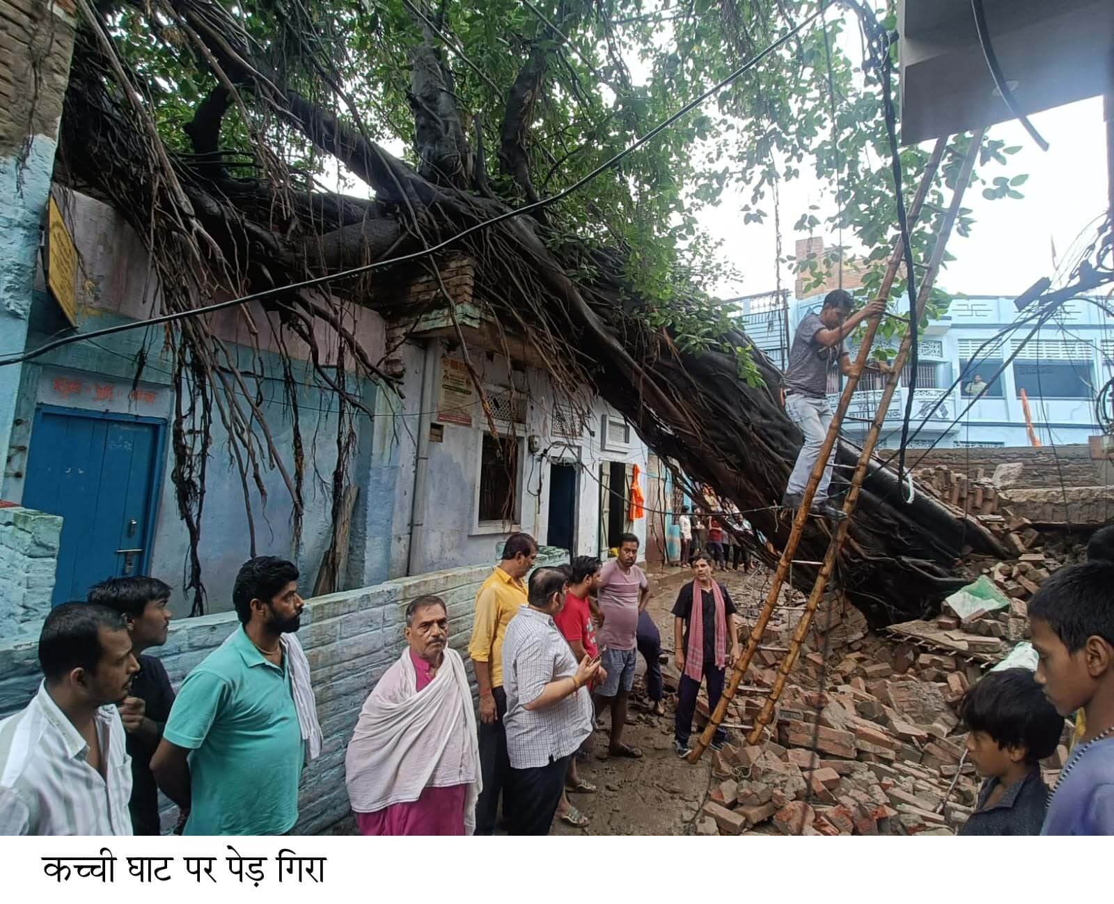 वर्षों पुराना बरगद का पेड़ गिरा बाल-बाल बची लोगों की जान