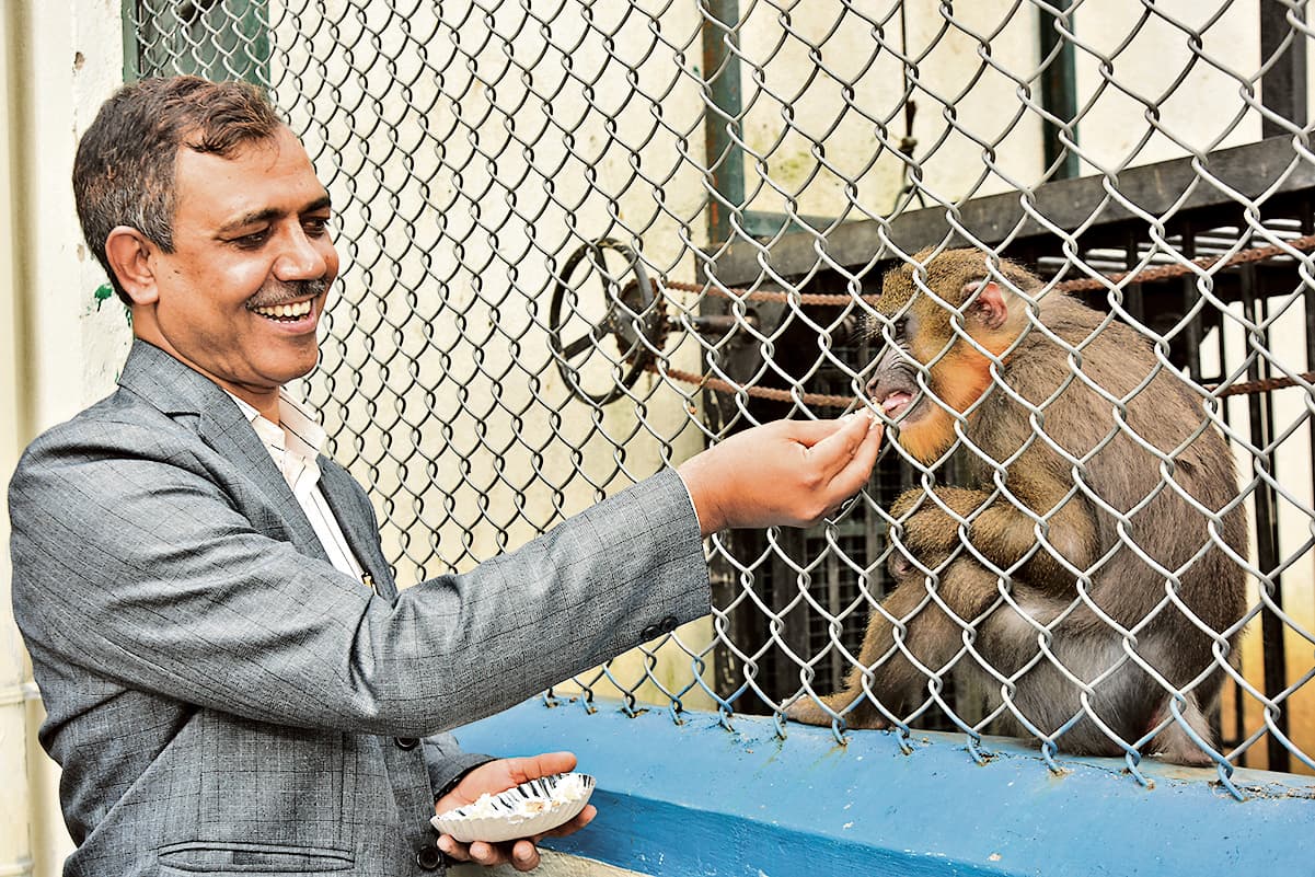 Jamshedpur News : फ्रेंडशिप डे पर टाटा जू में धूमधाम से मना हैंड-रीयर्ड मैंड्रिल रंगा का जन्मदिन