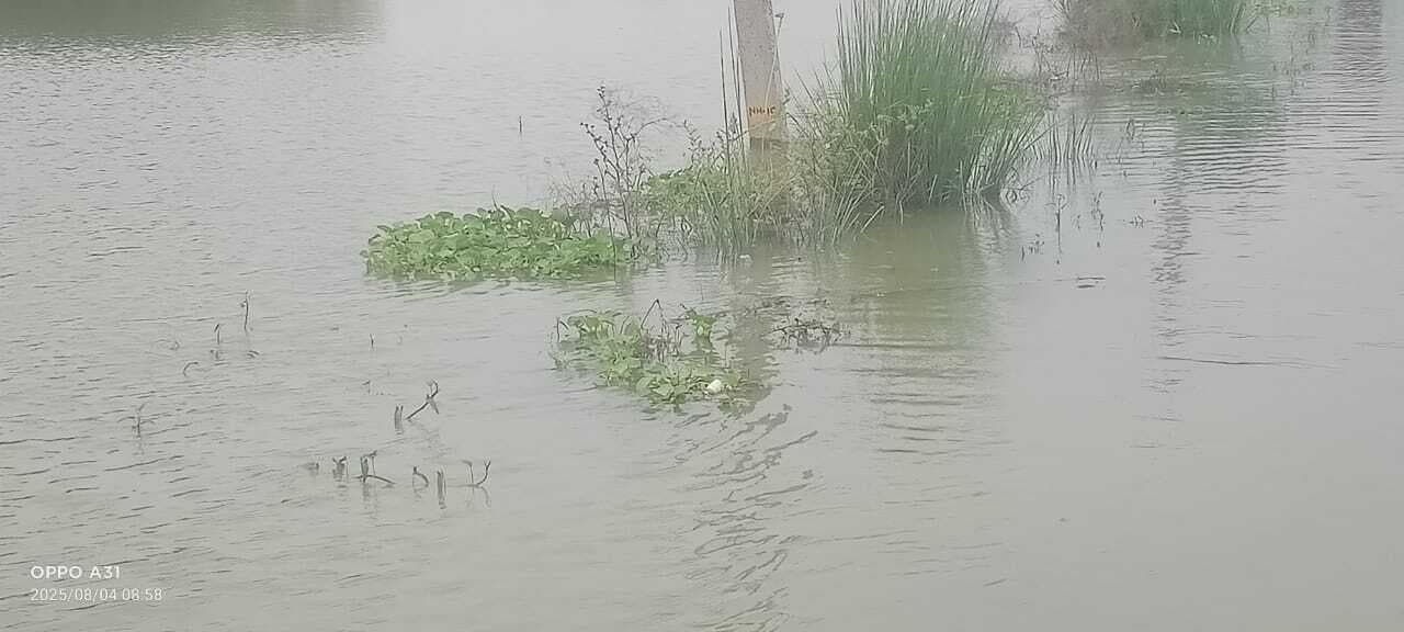 Samastipur News:गंगा का पानी रिहायशी इलाकों में दस्तक देने को बेताब