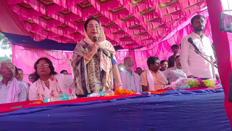 बिहार में नीतीश कुमार का कोई विकल्प नहीं: शगुफ्ता