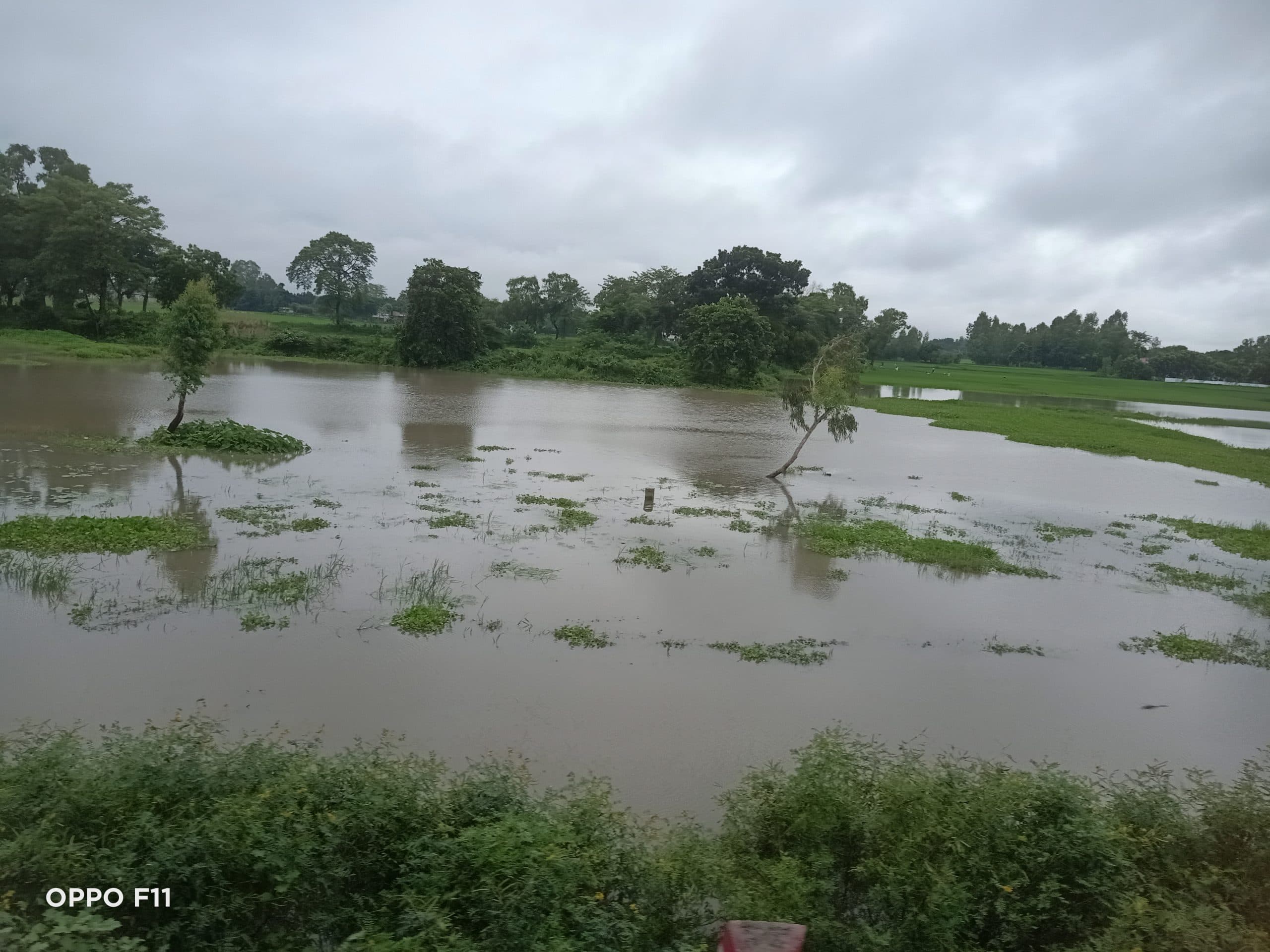 मूसलाधार बारिश से बाढ़ जैसी स्थिति