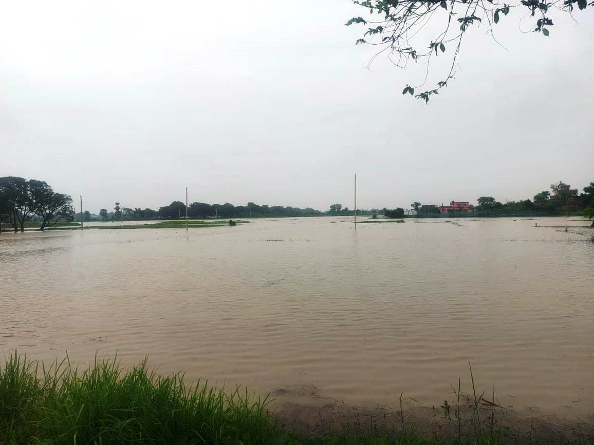 Bhagalpur news गंगा का जलस्तर बढ़ा, खेतों में घुसा पानी, किसान चिंतित