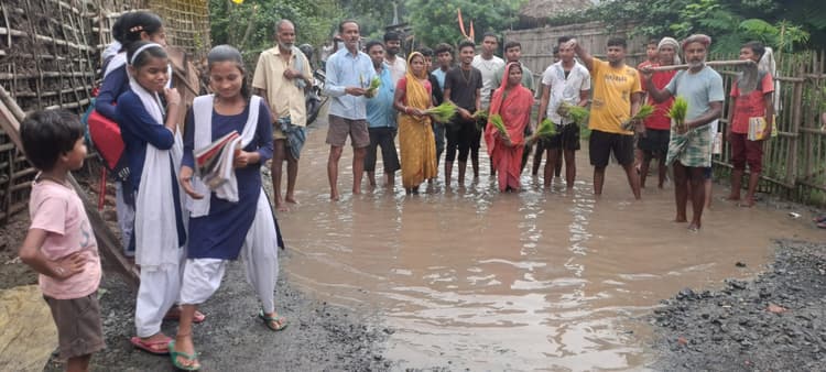 गड्ढे में तब्दील सड़क पर धान रोपनी कर जताया आक्रोश