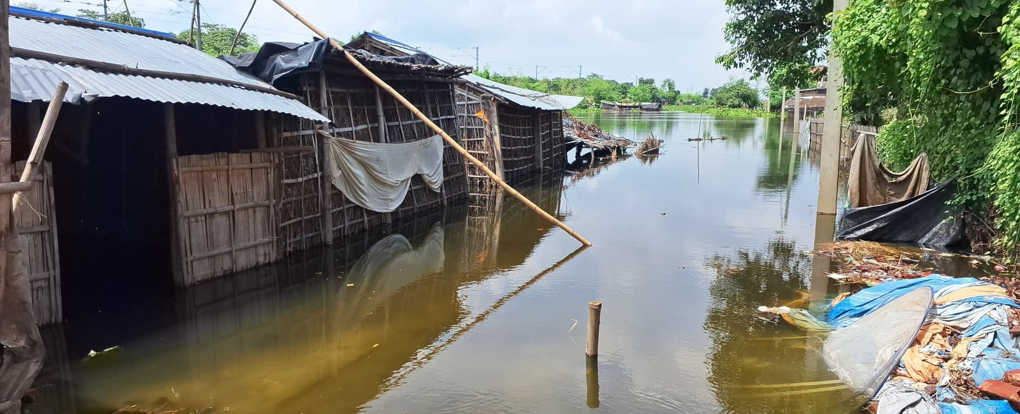 गंगा व कोसी का पानी कई घरों में घुसा