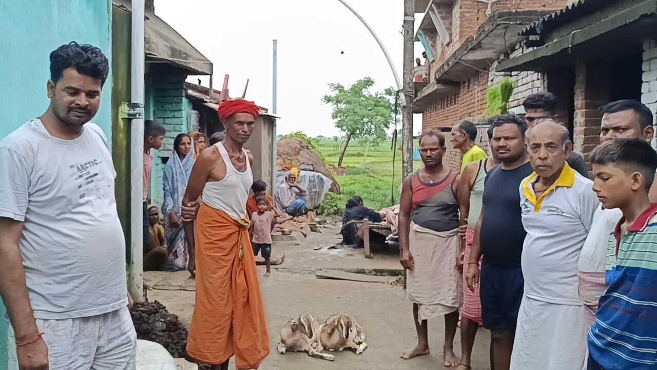सर्पदंश से 22 वर्षीय युवक की हुई मौत, परिजनों में मचा कोहराम