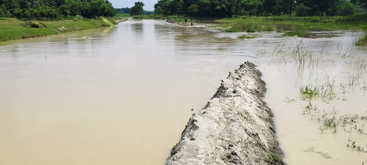 चैनेलाइजेशन कार्य के गुणवत्ता की खुली पोल