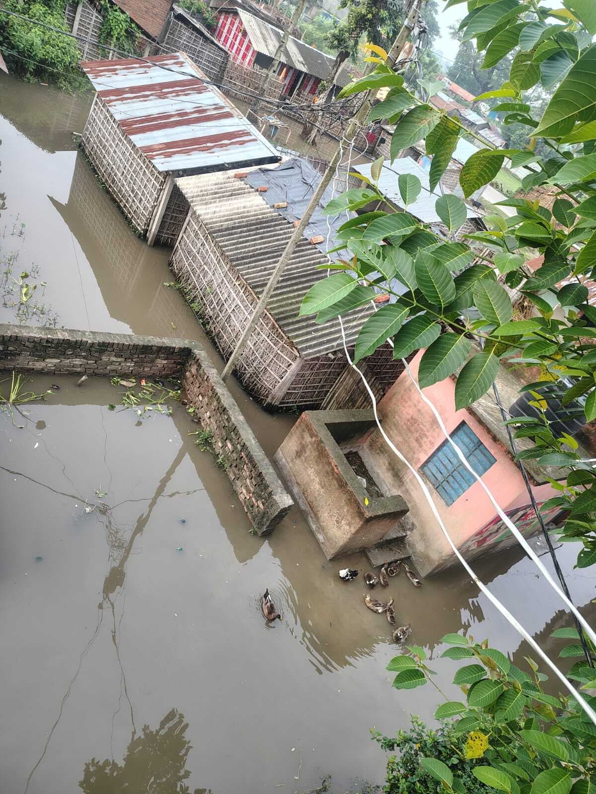 वार्ड सात में लोगों के घरों में घुसा बारिश का पानी