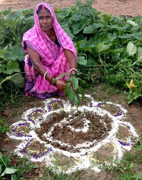 पौधरोपण कर स्वतंत्रता दिवस को खास बनाएंगी जीविका दीदियां