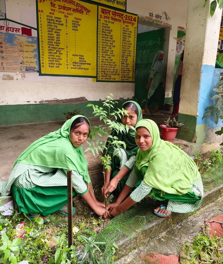 विद्यालय में पठन-पाठन के साथ पौधरोपण भी कर रहे हैं बच्चे