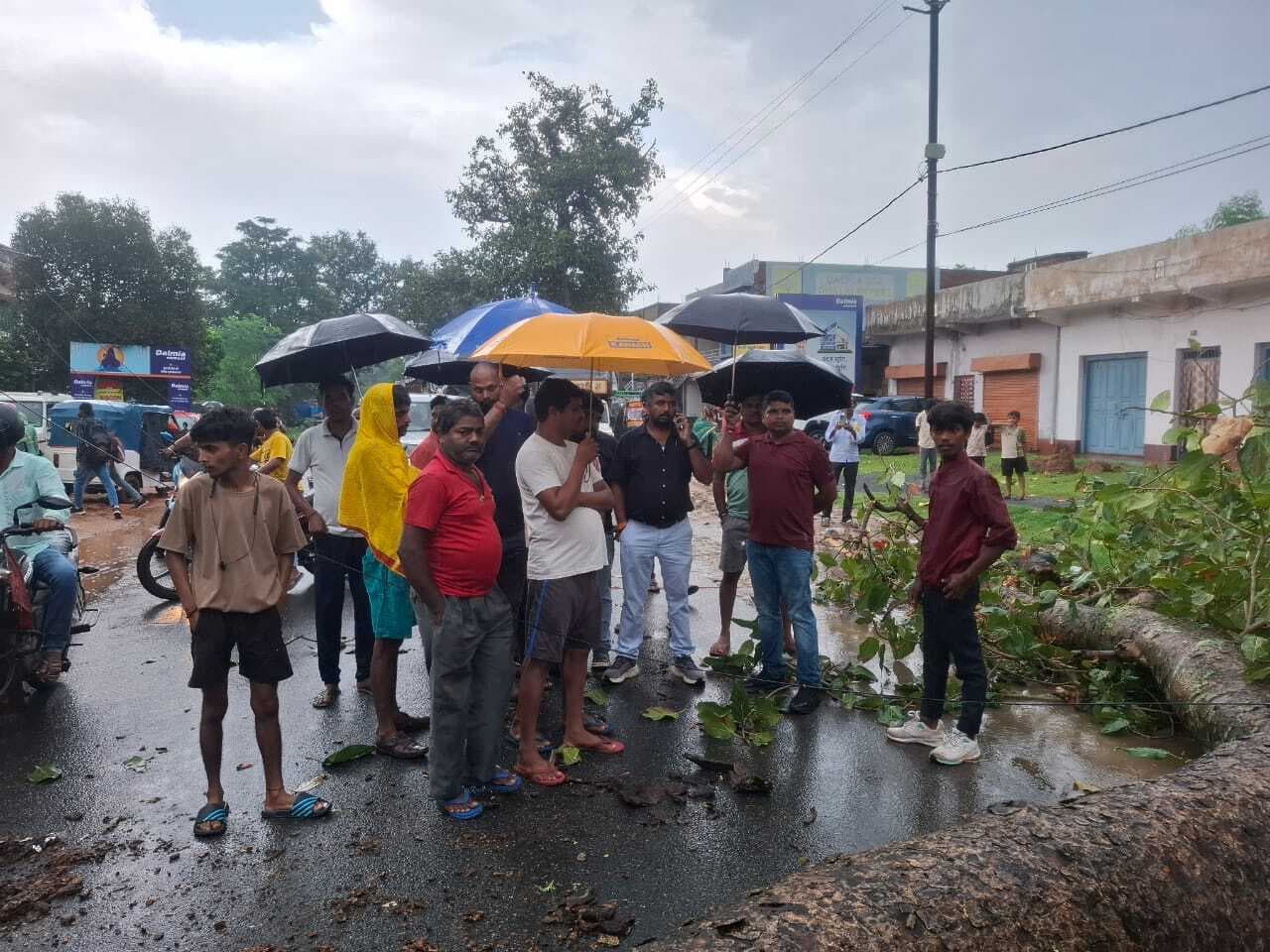 Giridih News: रांची-दुमका मार्ग पर पेड़ गिरने से लगा जाम, तार टूटने से बिजली गुल