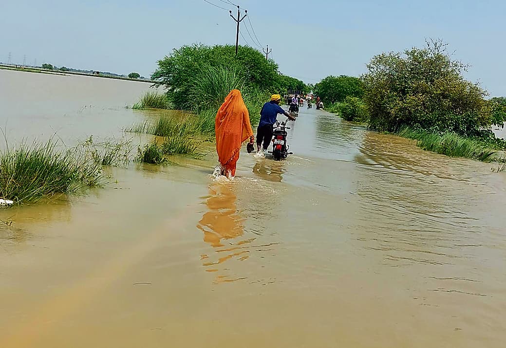 Ara News : शाहपुर-कारनामेपुर सड़क पर चढ़ा पानी, लोगों का सड़क संपर्क टूटा