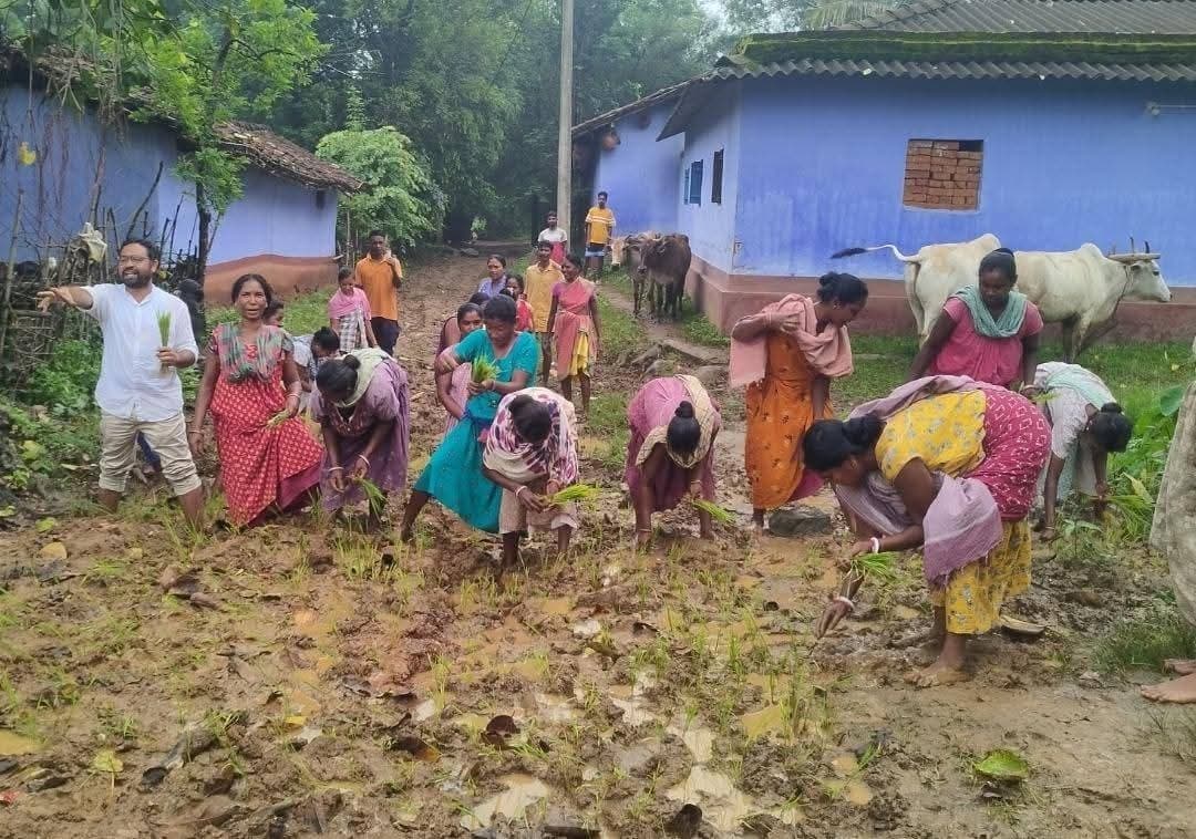 Chaibasa News : कीचड़ भरी सड़क पर धान रोपकर जताया विरोध