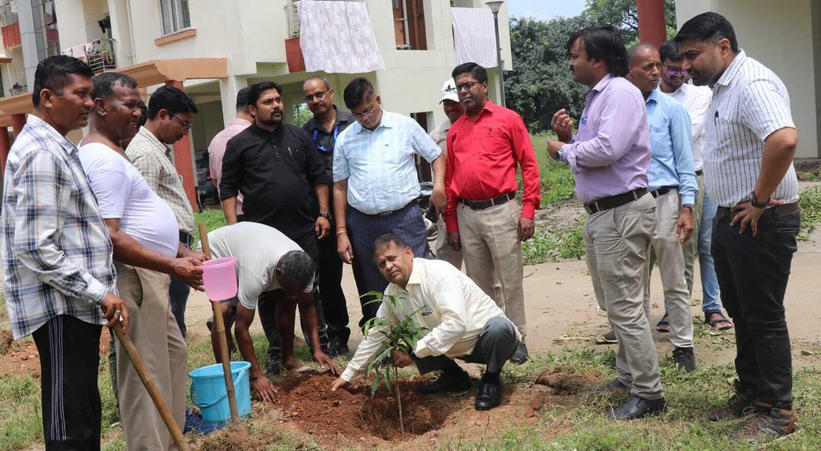 Ranchi News : सीआइपी परिसर में पांच हजार पौधे लगेंगे, तैयार होगा ग्रीन बेल्ट