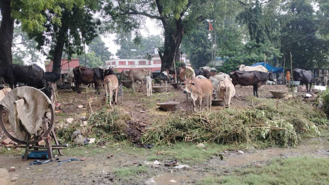 खतरे के निशान से 81 सेमी ऊपर बह रही है गंगा