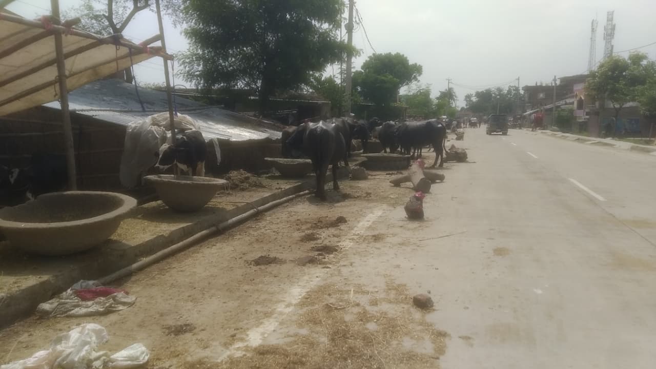 बाढ़ की तबाही से बेघर हुए लोग, चूल्हा जलना हुआ मुश्किल