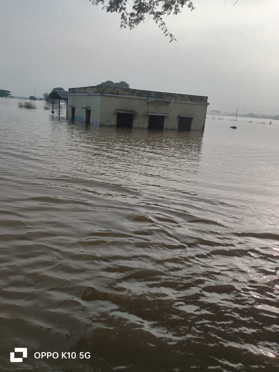 Bhagalpur news जमींदारी बांध के कई जगहों से हाे रहा पानी का रिसाव