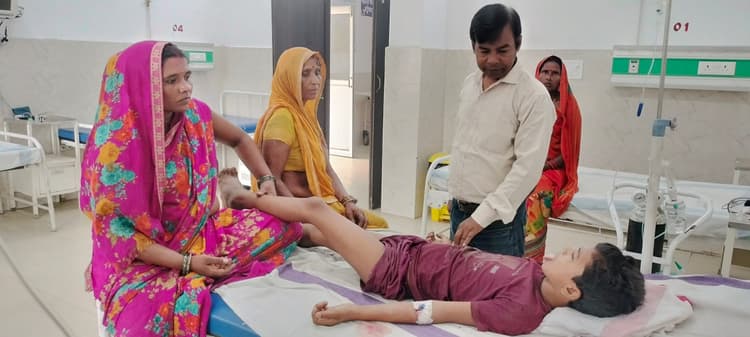 सर्पदंश से बालक की हालत खराब, इलाज के बाद बची जान