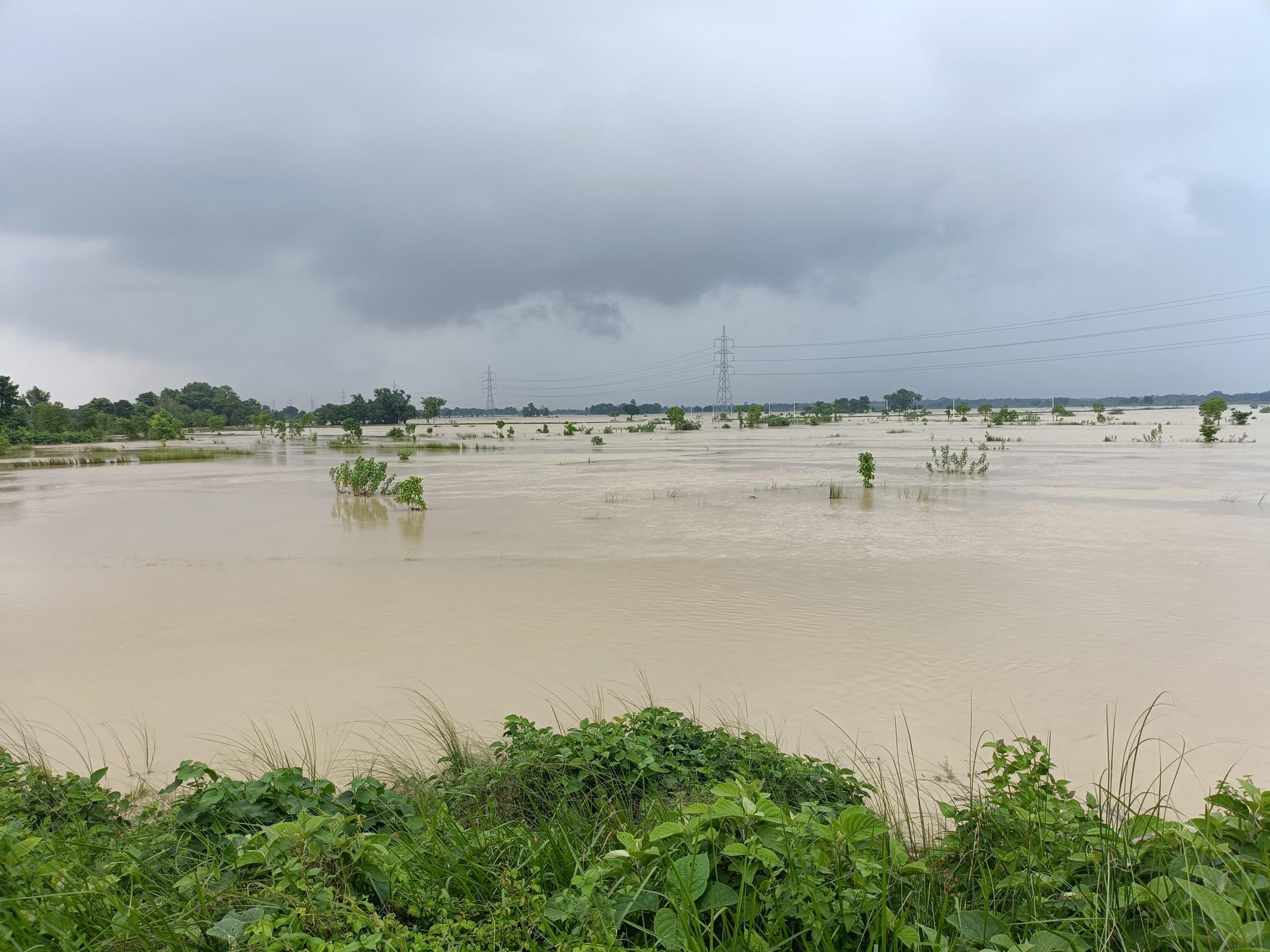 Madhubani News : भूतही बलान नदी में आई बाढ़, खेतों में फैला पानी