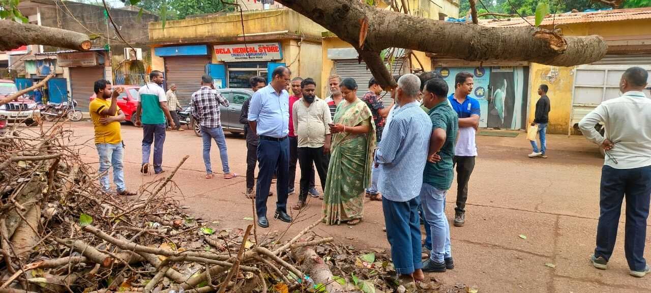 Chaibasa News : टाटा स्टील क्षेत्र में पेड़ गिरने से पांच दुकानें क्षतिग्रस्त, 11 दिनों बाद भी समाधान नहीं