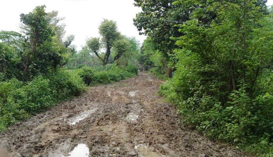 कीचड़ से सने पथ से होकर चलने को विवश हैं ग्रामीण