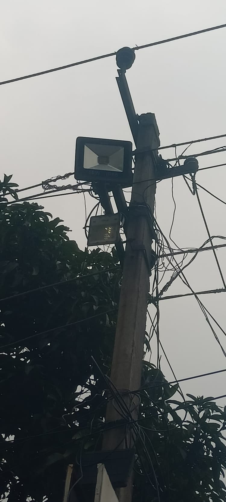 चितरा : वेपर लाइट ठीक कराने की मांग