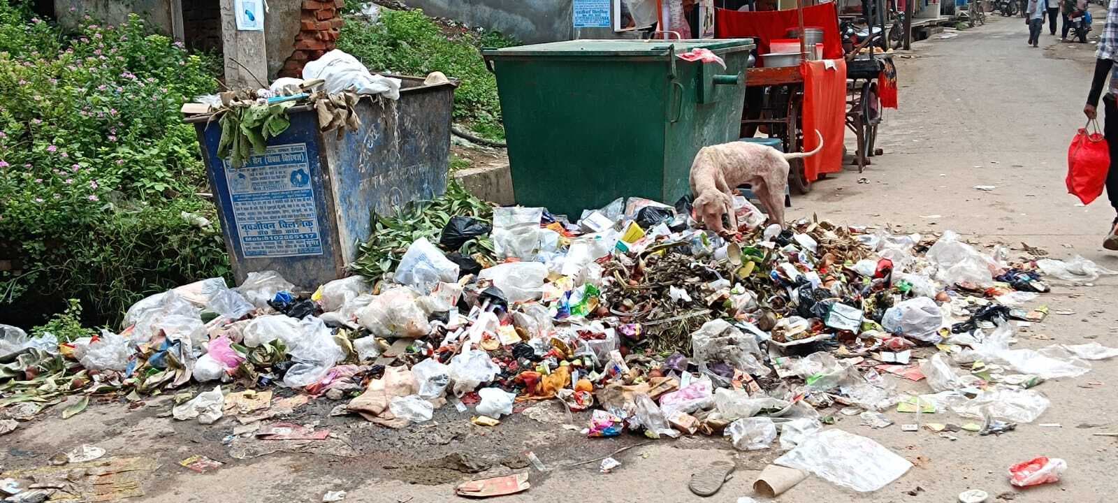 सफाइकर्मियों की हड़ताल से नगर में पसरी गंदगी