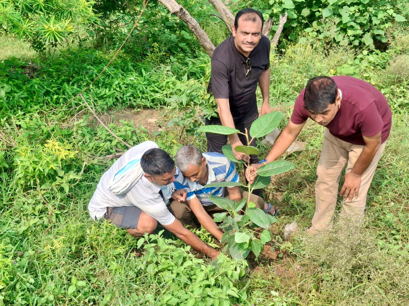 पर्यावरण संतुलन के लिए युवाओं ने किया पौधारोपण