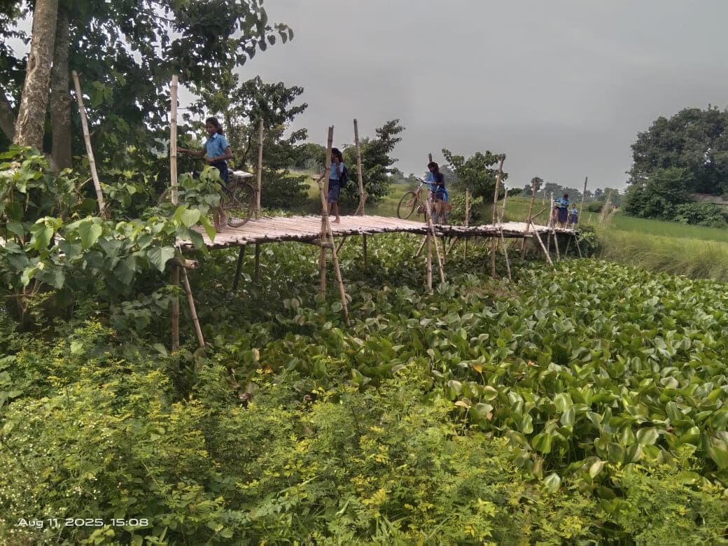 Madhubani : मैनाडीह में चचरी पुल पर चढ़ा जलकुंभी