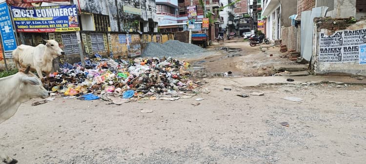 निगम के टेंपोकर्मी हड़ताल पर, वार्डों में गंदगी