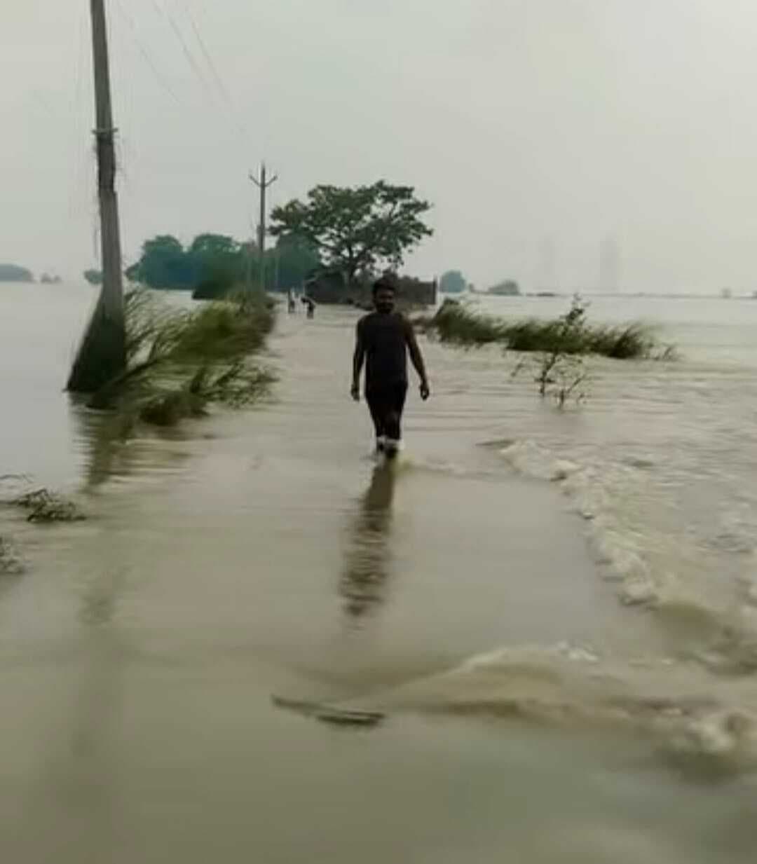 बाढ़ से सैकड़ों परिवार हुए बेघर, ऊंचे स्थानों पर लिया शरण