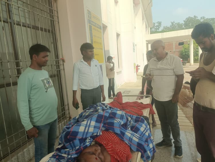 Giridih News: सड़क हादसे में वृद्धा की मौत, दो गंभीर