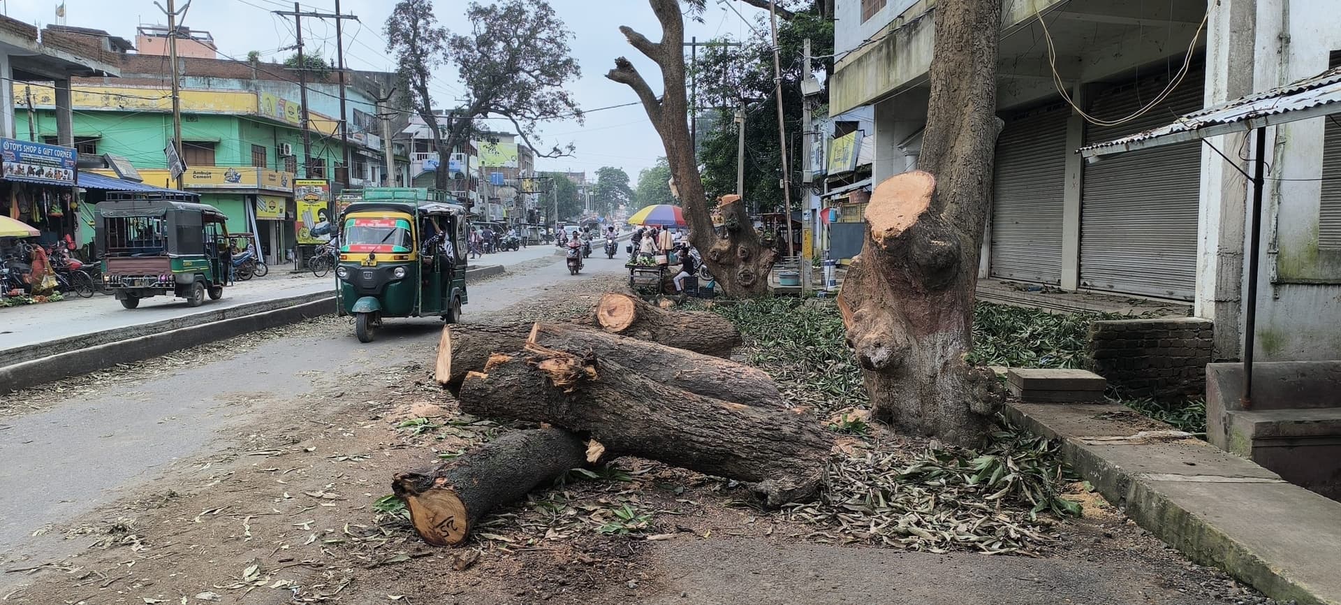 Giridih News :गिरिडीह पचंबा फोरलेन पर पेड़ों की कटाई शुरू, राहगीरों की परेशानी बढ़ी