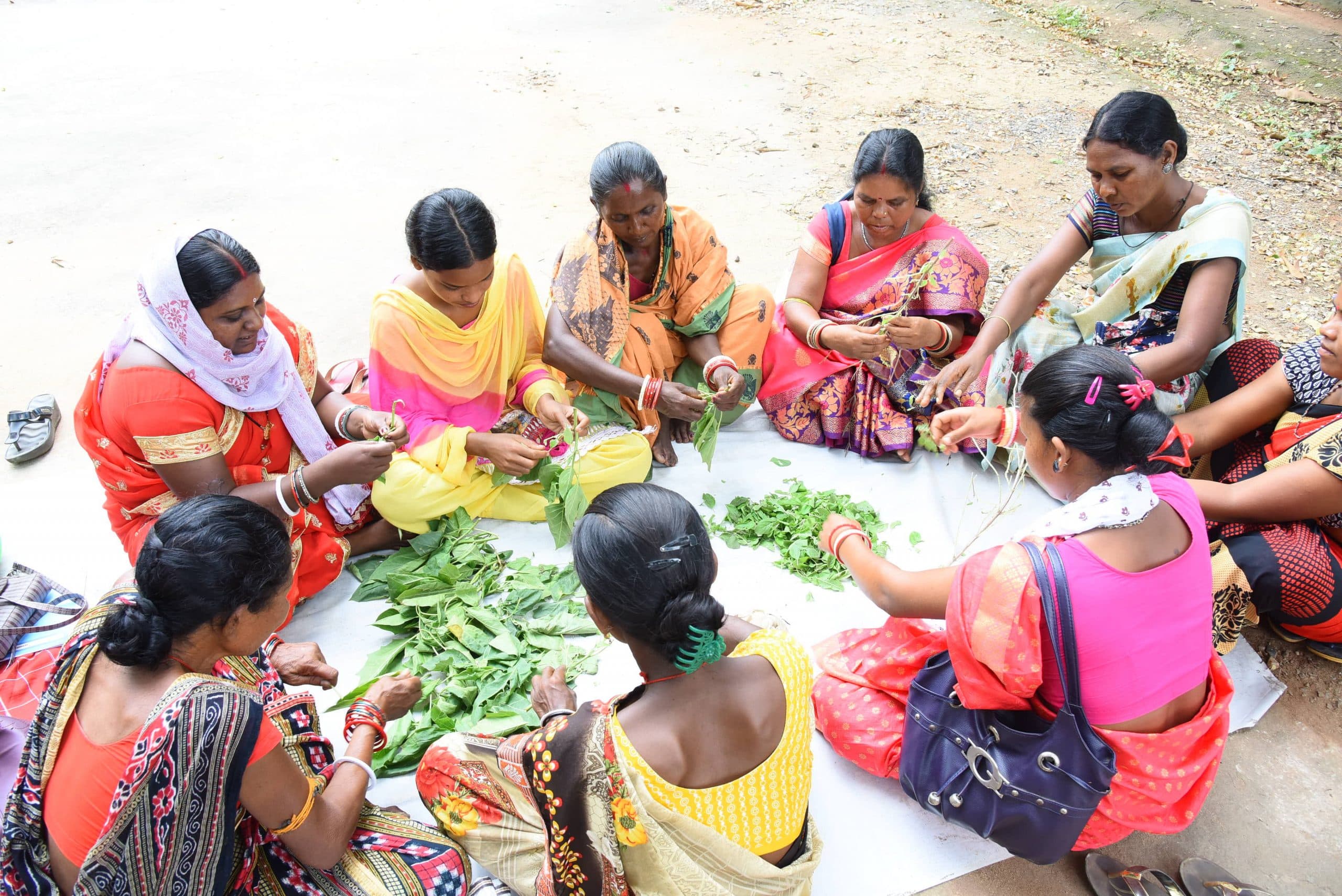 Rourkela News: आरएसपी की पहल से जैविक खेती कर आत्मनिर्भर बन रहीं ग्रामीम महिलाएं