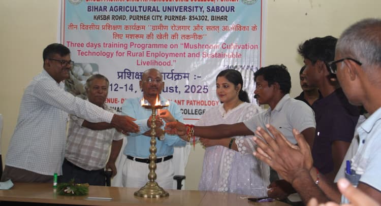 रोजगार के लिए मशरूम उत्पादन पर कृषि काॅलेज का जोर