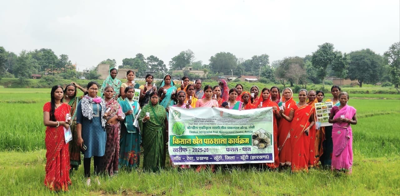 कीटों का प्रबंधन सीख रहे हैं किसान