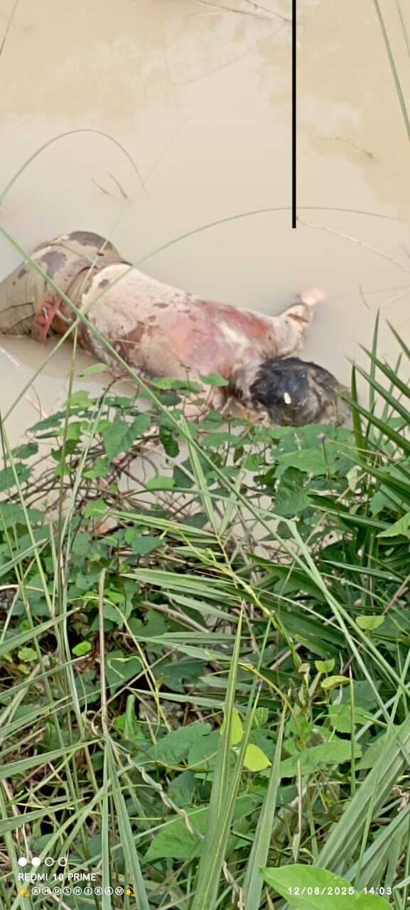 हिजरिया गांव में नदी की तेज धार में लापता हुए बालक का शव बरामद