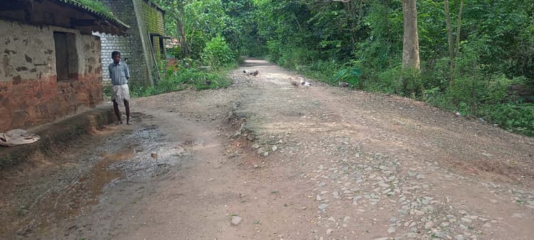 East Singhbhum News : कला की विरासत बचा रहे कलाकारों को बुनियादी सुविधाओं का है इंतजार